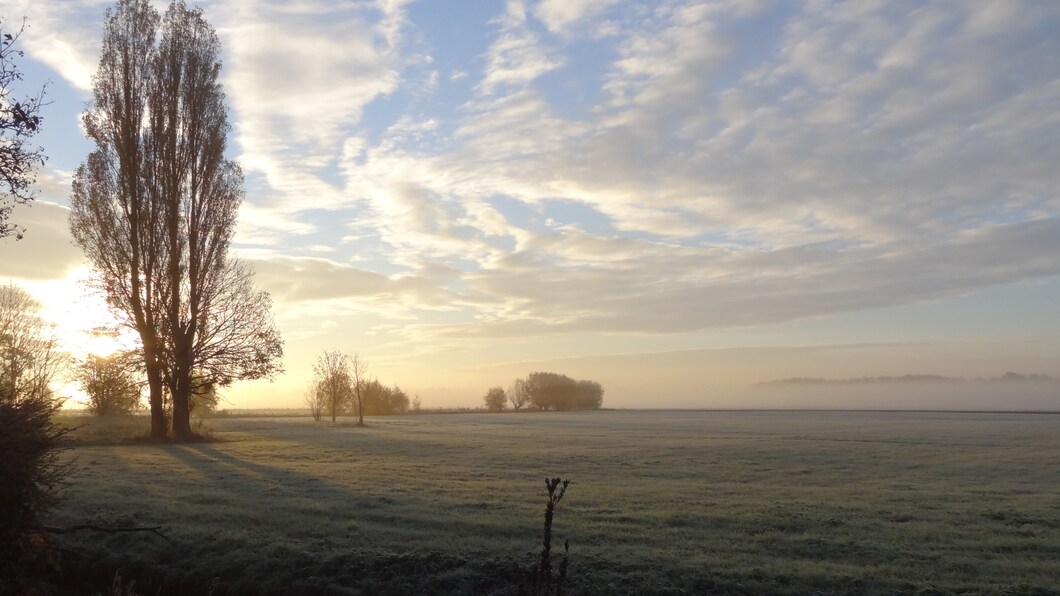 ochtendzon-verdrijft-de-mist.jpg