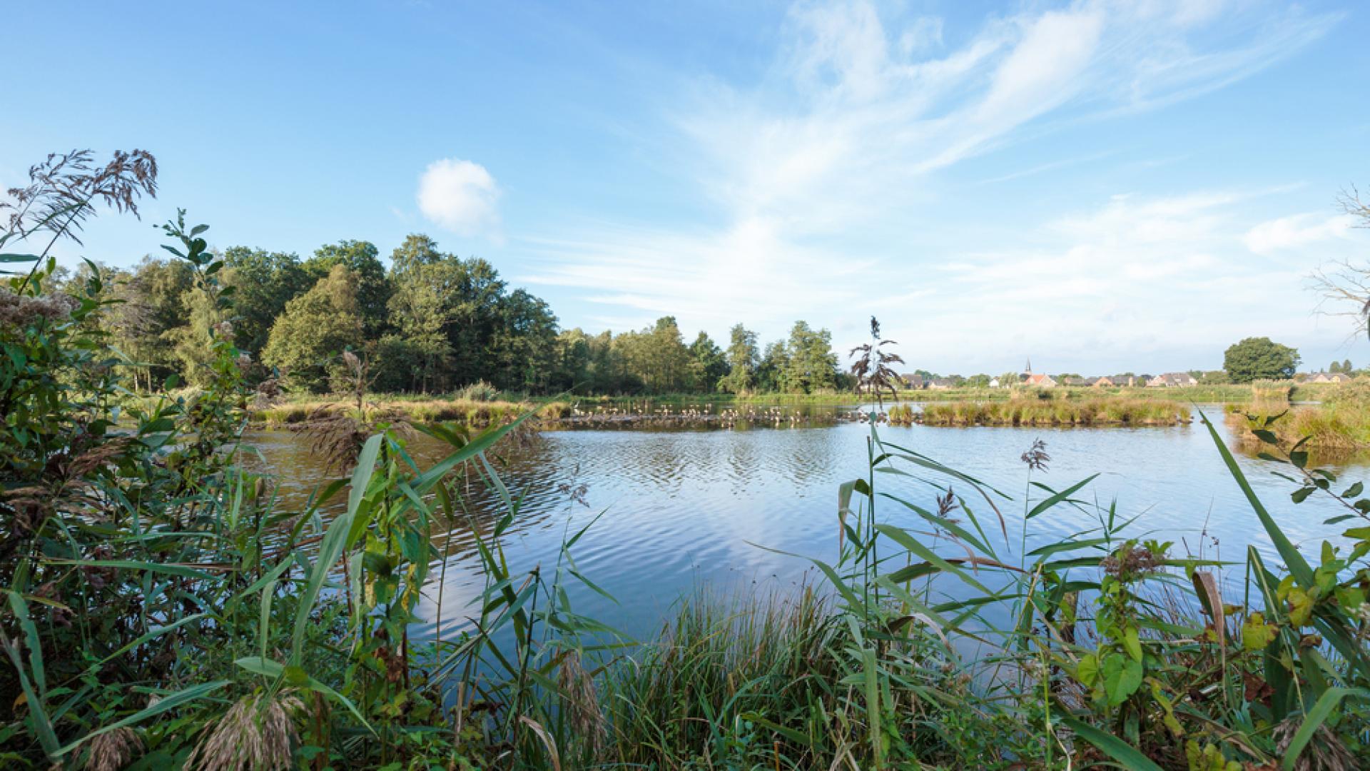 natuur.jpg