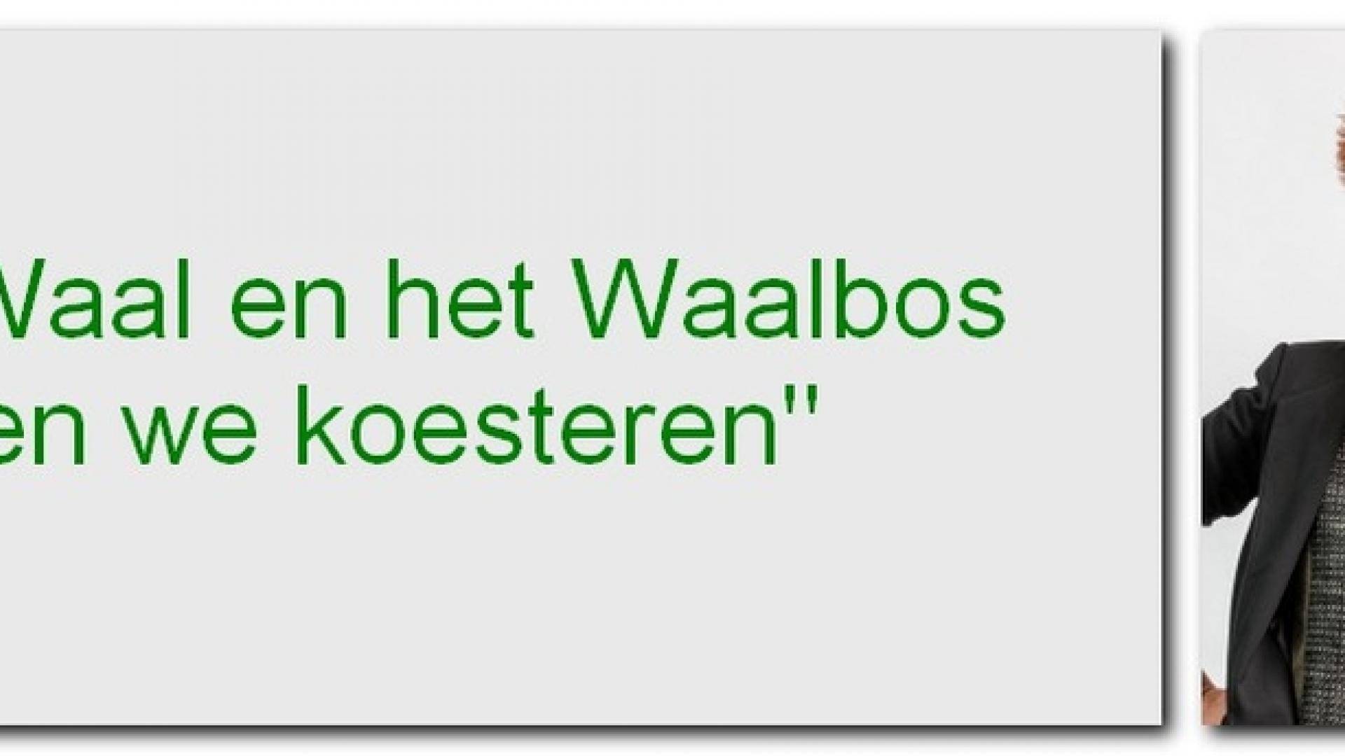 ineke-header-tekst2.jpg